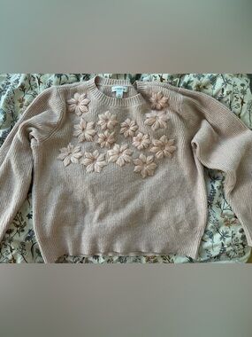 Liz Claiborne Blush Cream Floral-Appliqué Crewneck Sweater